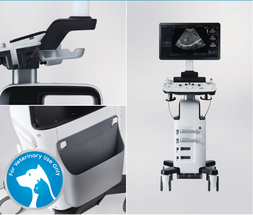 Samsung HS30 Samsung HS30